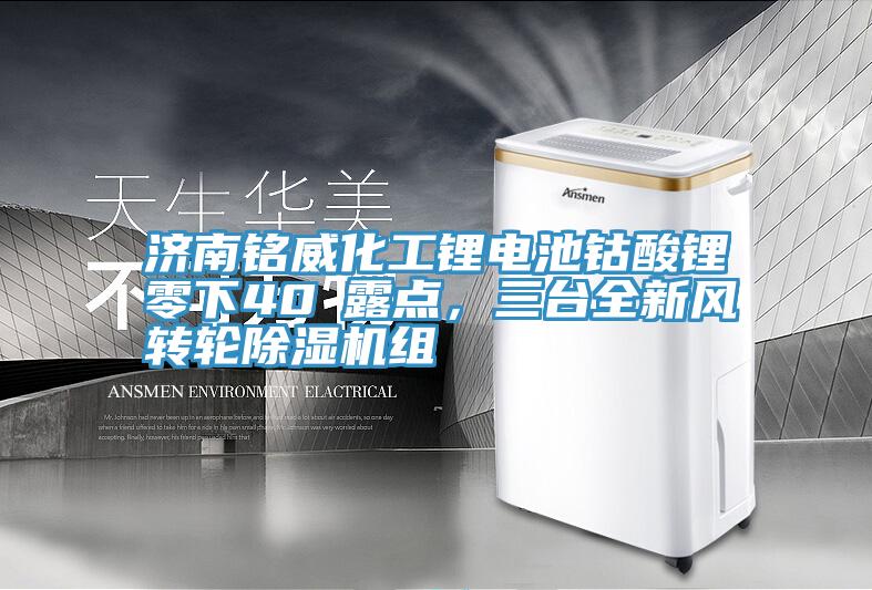 濟(jì)南銘威化工鋰電池鈷酸鋰零下40℃露點(diǎn)，三臺(tái)全新風(fēng)轉(zhuǎn)輪除濕機(jī)組