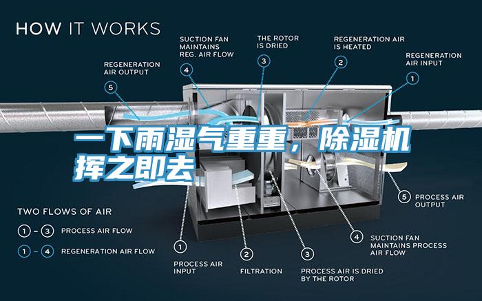 一下雨濕氣重重，除濕機揮之即去