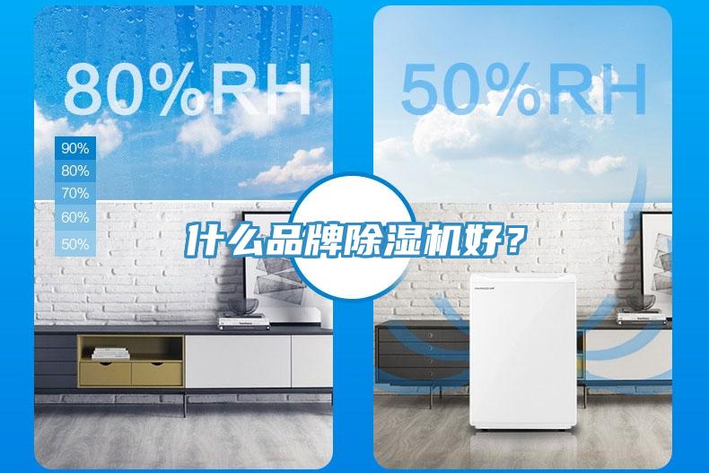 什么品牌除濕機好？