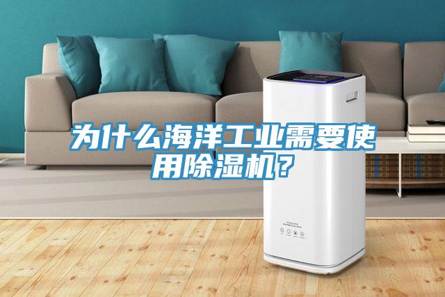 為什么海洋工業(yè)需要使用除濕機(jī)？