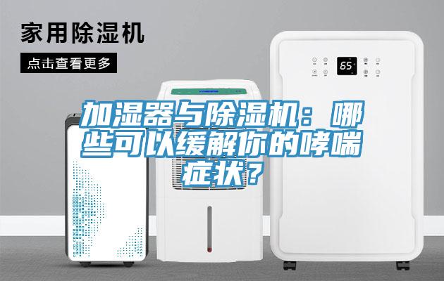 加濕器與除濕機：哪些可以緩解你的哮喘癥狀？