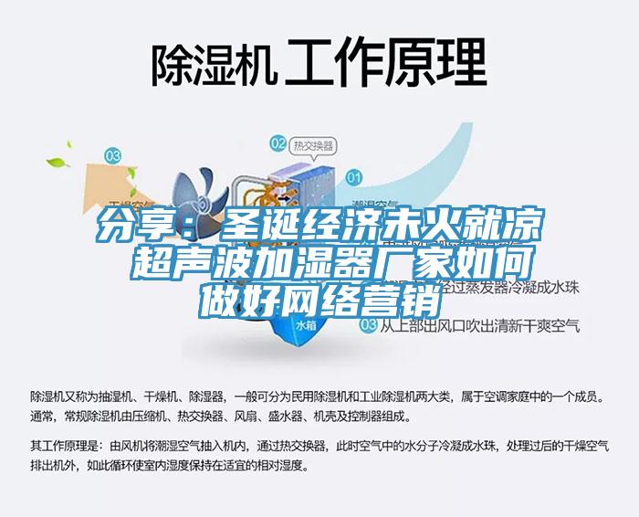 分享：圣誕經(jīng)濟未火就涼 超聲波加濕器廠家如何做好網(wǎng)絡(luò)營銷