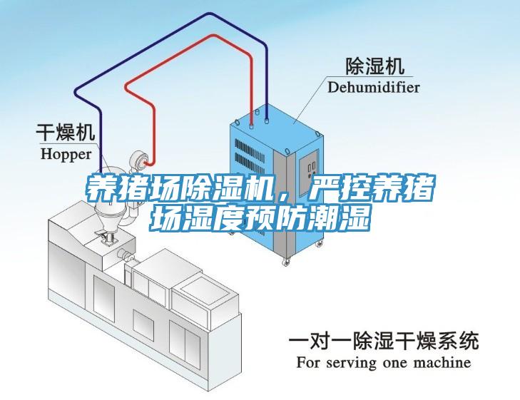 養(yǎng)豬場除濕機(jī)，嚴(yán)控養(yǎng)豬場濕度預(yù)防潮濕