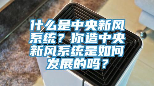 什么是中央新風系統(tǒng)？你造中央新風系統(tǒng)是如何發(fā)展的嗎？