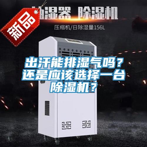 出汗能排濕氣嗎？還是應(yīng)該選擇一臺除濕機？