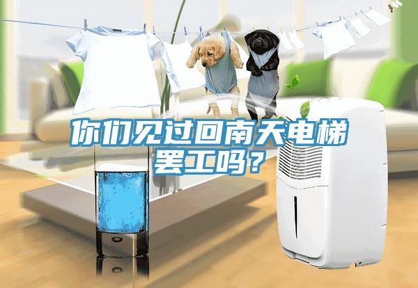 你們見(jiàn)過(guò)回南天電梯罷工嗎？