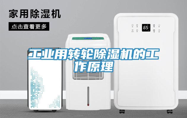 工業(yè)用轉輪除濕機的工作原理