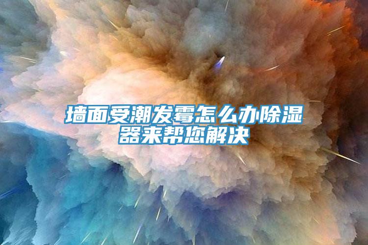 墻面受潮發(fā)霉怎么辦除濕器來幫您解決