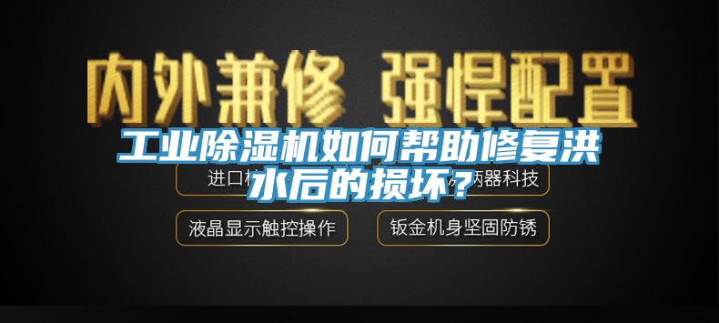 工業(yè)除濕機(jī)如何幫助修復(fù)洪水后的損壞？