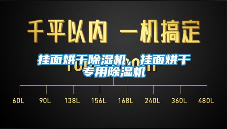 掛面烘干除濕機，掛面烘干專用除濕機