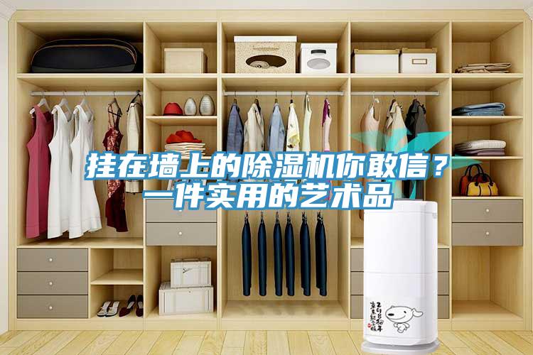 掛在墻上的除濕機你敢信？一件實用的藝術(shù)品