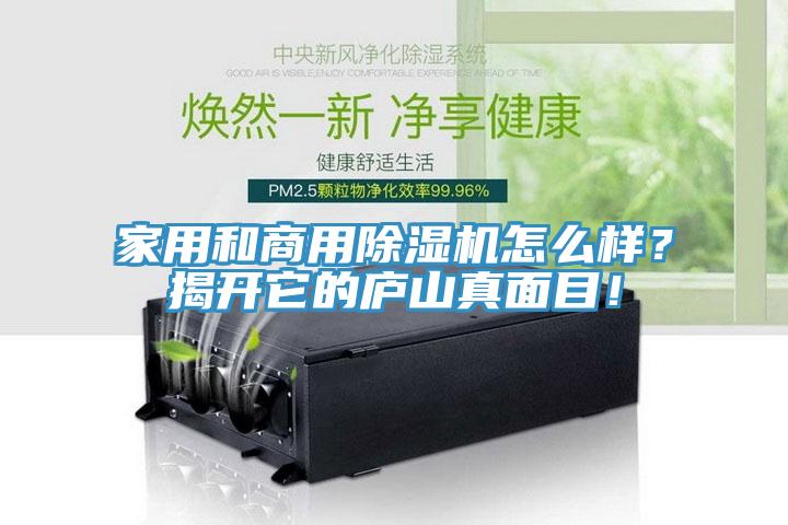 家用和商用除濕機(jī)怎么樣？揭開它的廬山真面目！