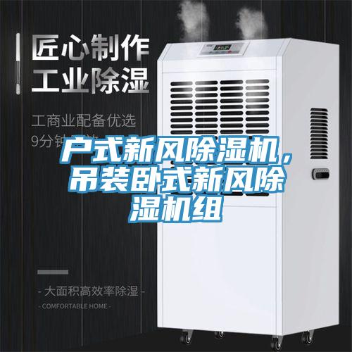 戶式新風除濕機，吊裝臥式新風除濕機組