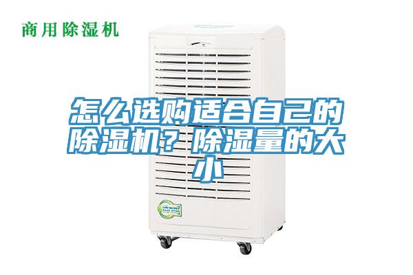 怎么選購適合自己的除濕機(jī)？除濕量的大小