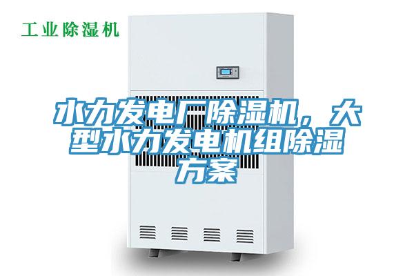 水力發(fā)電廠除濕機，大型水力發(fā)電機組除濕方案