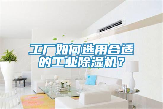 工廠如何選用合適的工業(yè)除濕機？