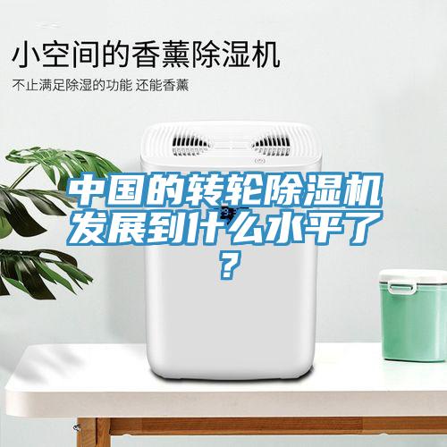 中國的轉(zhuǎn)輪除濕機(jī)發(fā)展到什么水平了？