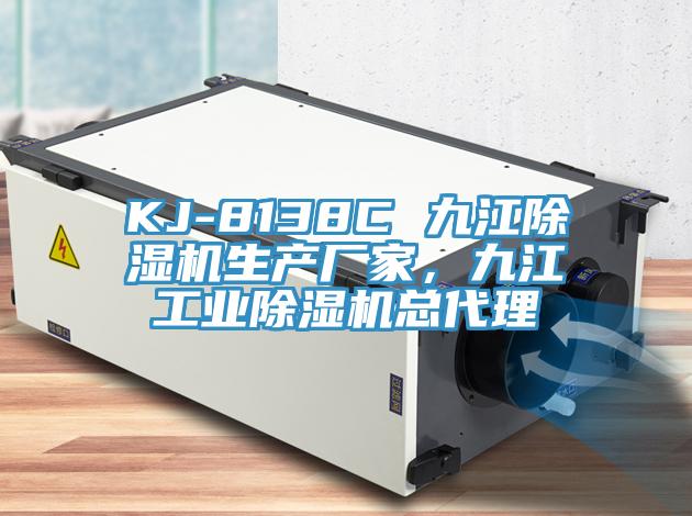 KJ-8138C 九江除濕機生產(chǎn)廠家，九江工業(yè)除濕機總代理