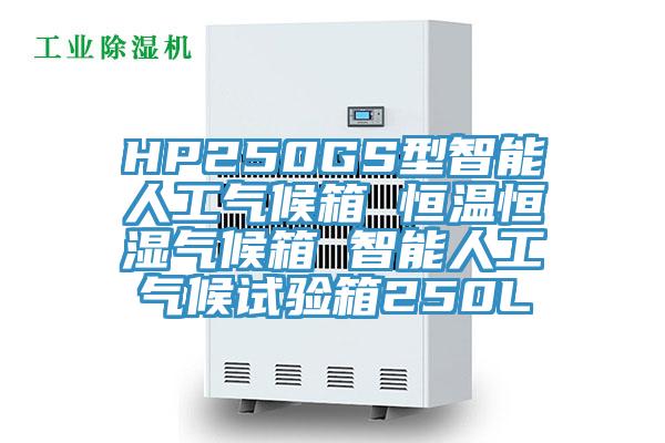 HP250GS型智能人工氣候箱 恒溫恒濕氣候箱 智能人工氣候試驗箱250L