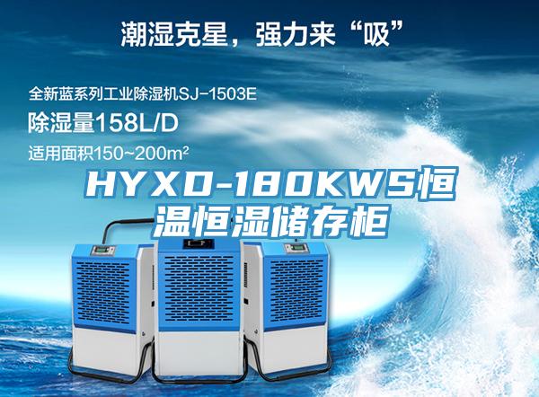 HYXD-180KWS恒溫恒濕儲存柜