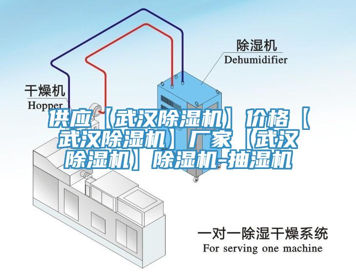 供應(yīng)【武漢除濕機】價格【武漢除濕機】廠家【武漢除濕機】除濕機-抽濕機