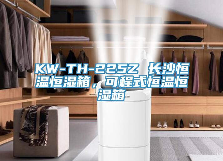 KW-TH-225Z 長(zhǎng)沙恒溫恒濕箱，可程式恒溫恒濕箱