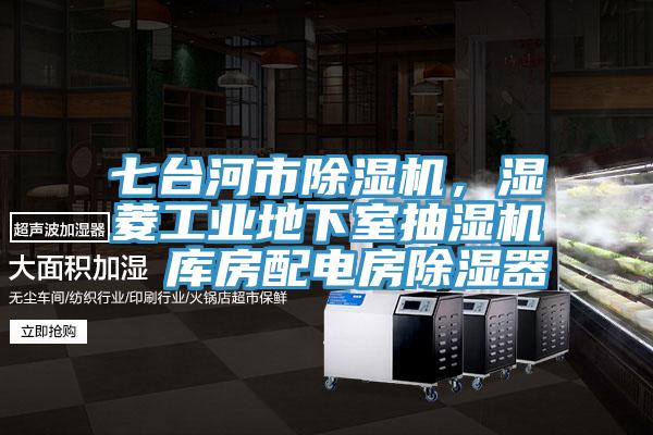 七臺河市除濕機，濕菱工業(yè)地下室抽濕機  庫房配電房除濕器