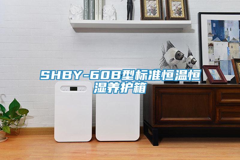 SHBY-60B型標準恒溫恒濕養(yǎng)護箱