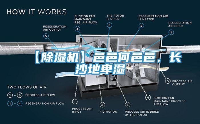 【除濕機】邑邑何邑邑，長沙地卑濕