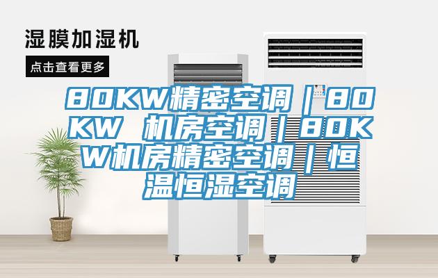 80KW精密空調(diào)｜80KW 機(jī)房空調(diào)｜80KW機(jī)房精密空調(diào)｜恒溫恒濕空調(diào)