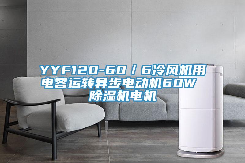 YYF120-60／6冷風(fēng)機(jī)用電容運轉(zhuǎn)異步電動機(jī)60W 除濕機(jī)電機(jī)