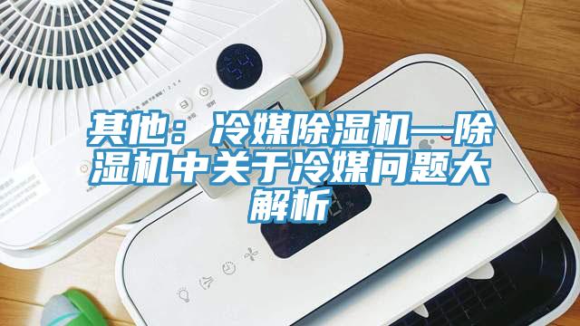 其他：冷媒除濕機—除濕機中關(guān)于冷媒問題大解析