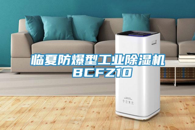 臨夏防爆型工業(yè)除濕機(jī) BCFZ10