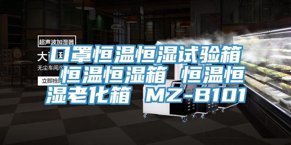 口罩恒溫恒濕試驗箱 恒溫恒濕箱 恒溫恒濕老化箱 MZ-B101