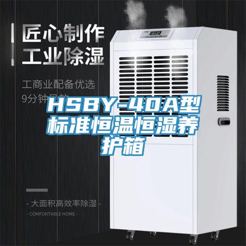 HSBY-40A型標準恒溫恒濕養(yǎng)護箱