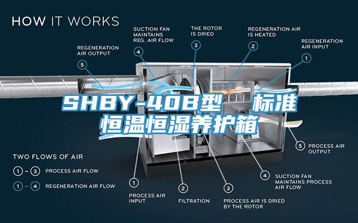 SHBY-40B型  標準恒溫恒濕養(yǎng)護箱