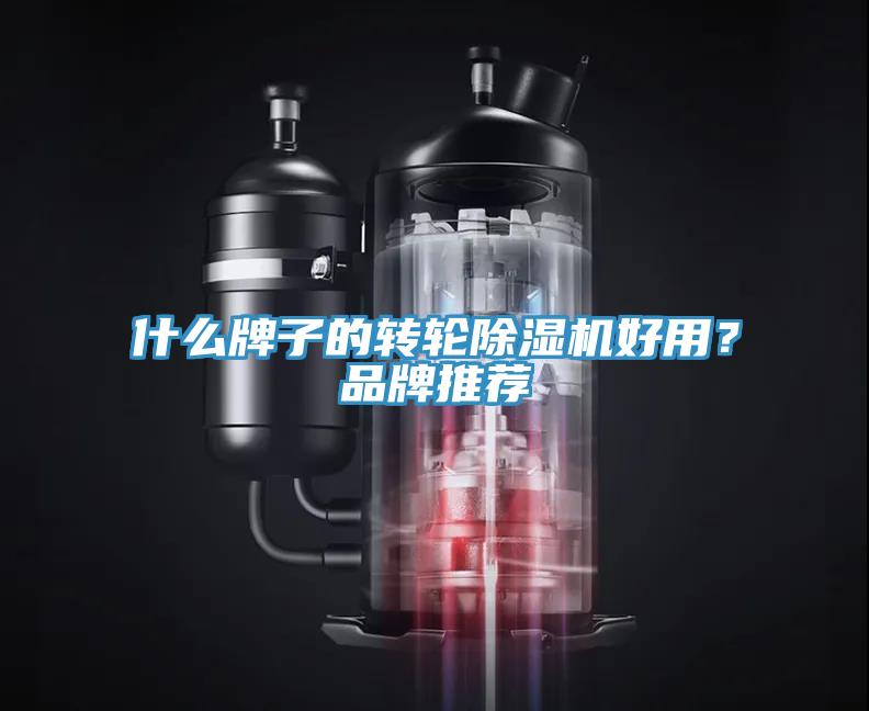 什么牌子的轉(zhuǎn)輪除濕機好用？品牌推薦