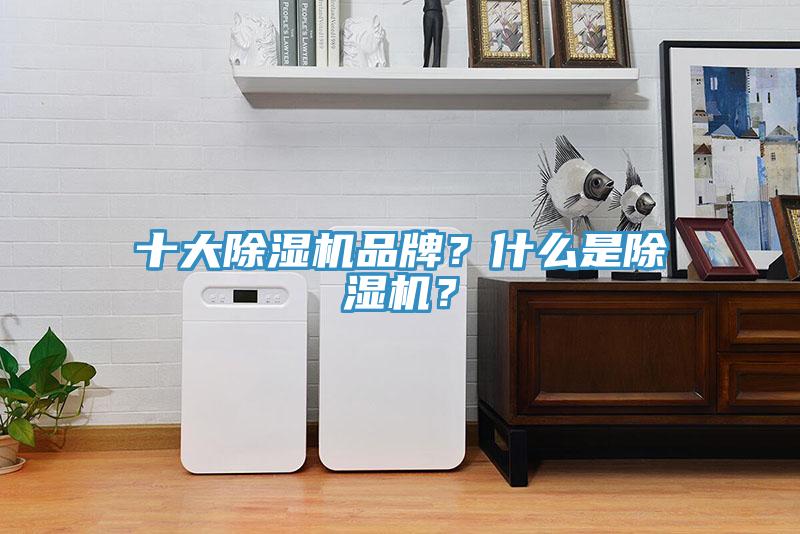 十大除濕機(jī)品牌？什么是除濕機(jī)？