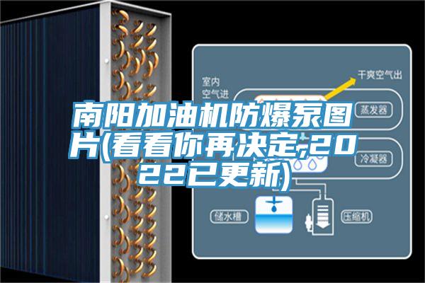 南陽加油機(jī)防爆泵圖片(看看你再?zèng)Q定,2022已更新)