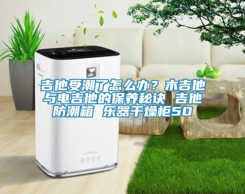 吉他受潮了怎么辦？木吉他與電吉他的保養(yǎng)秘訣 吉他防潮箱 樂器干燥柜50