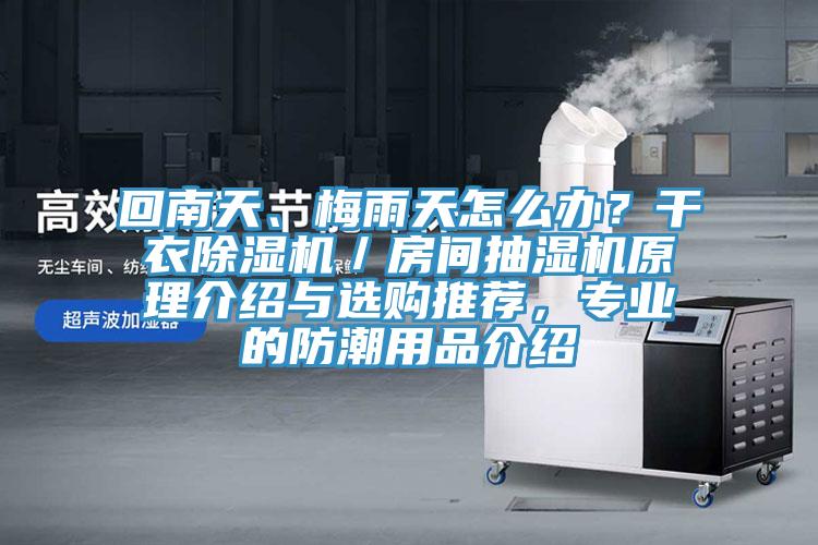 回南天、梅雨天怎么辦？干衣除濕機／房間抽濕機原理介紹與選購推薦，專業(yè)的防潮用品介紹