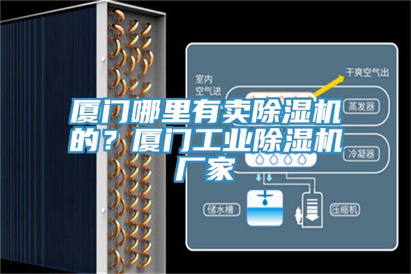 廈門哪里有賣除濕機(jī)的？廈門工業(yè)除濕機(jī)廠家