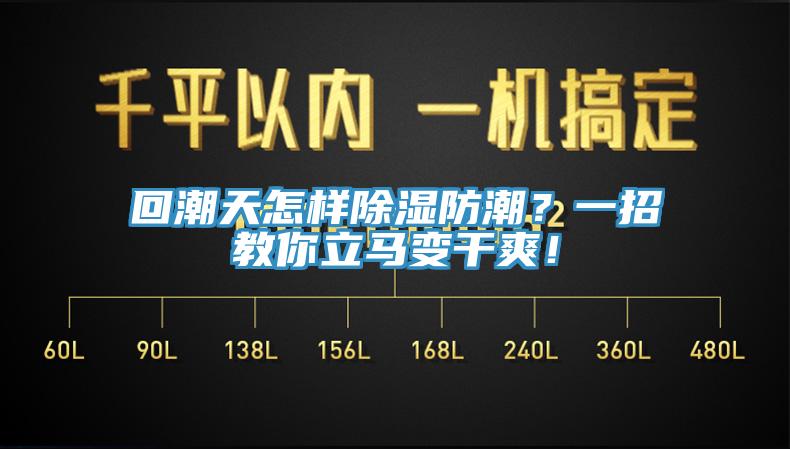 回潮天怎樣除濕防潮？一招教你立馬變干爽！