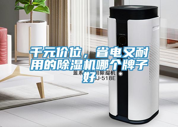 千元價位，省電又耐用的除濕機哪個牌子好