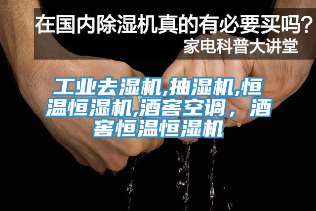 工業(yè)去濕機,抽濕機,恒溫恒濕機,酒窖空調，酒窖恒溫恒濕機