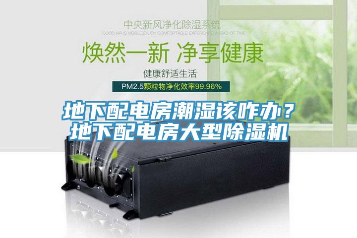 地下配電房潮濕該咋辦？地下配電房大型除濕機(jī)