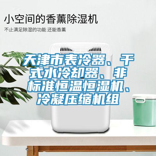 天津市表冷器、干式水冷卻器、非標(biāo)準(zhǔn)恒溫恒濕機(jī)、冷凝壓縮機(jī)組