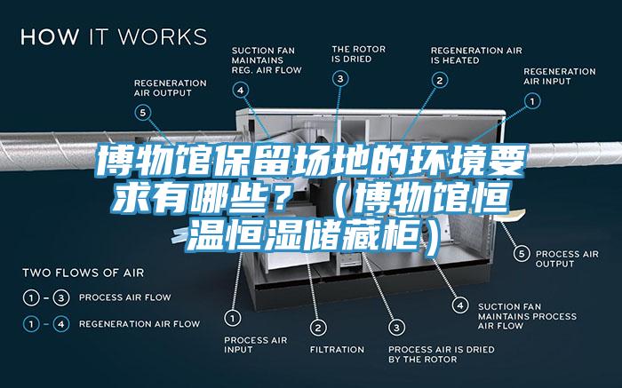 博物館保留場地的環(huán)境要求有哪些？（博物館恒溫恒濕儲藏柜）