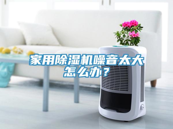 家用除濕機(jī)噪音太大怎么辦？