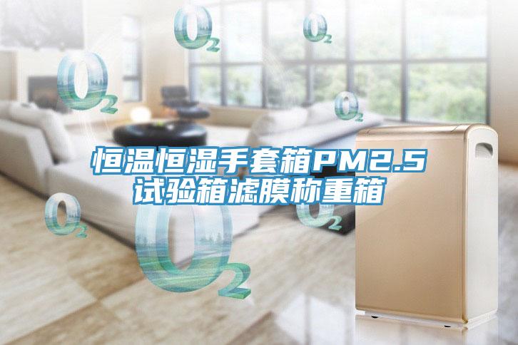 恒溫恒濕手套箱PM2.5試驗(yàn)箱濾膜稱(chēng)重箱